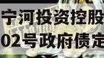 天津宁河投资控股债权拍卖02号政府债定融