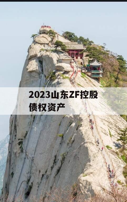 2023山东ZF控股债权资产