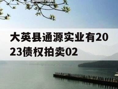 大英县通源实业有2023债权拍卖02