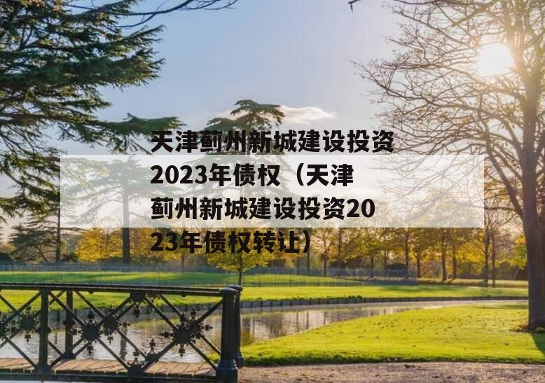 天津蓟州新城建设投资2023年债权（天津蓟州新城建设投资2023年债权转让）