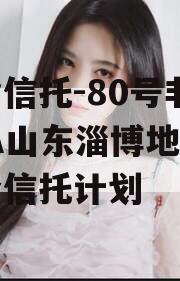 央企信托-80号非标AAA山东淄博地级市集合信托计划