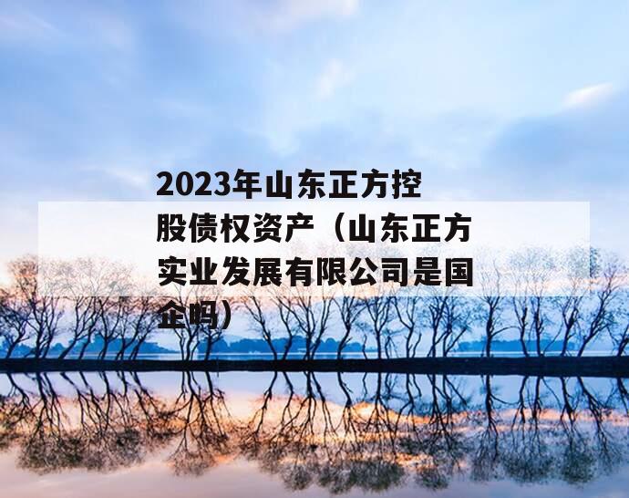 2023年山东正方控股债权资产（山东正方实业发展有限公司是国企吗）