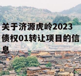 关于济源虎岭2023债权01转让项目的信息