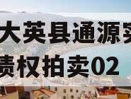 四川大英县通源实业2023债权拍卖02