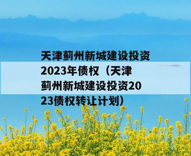 天津蓟州新城建设投资2023年债权（天津蓟州新城建设投资2023债权转让计划）