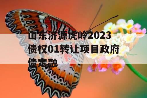 山东济源虎岭2023债权01转让项目政府债定融