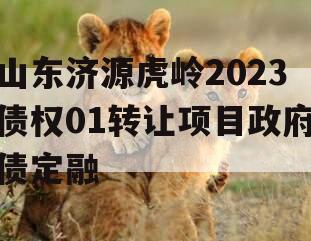 山东济源虎岭2023债权01转让项目政府债定融