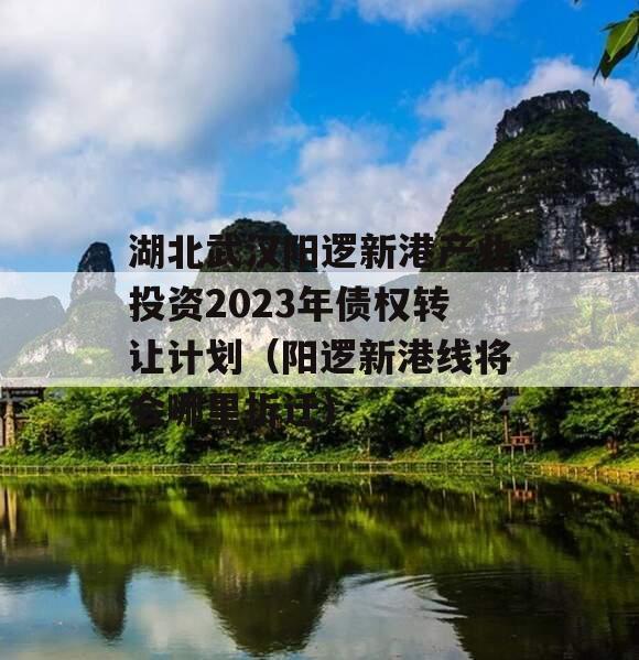 湖北武汉阳逻新港产业投资2023年债权转让计划（阳逻新港线将会哪里拆迁）