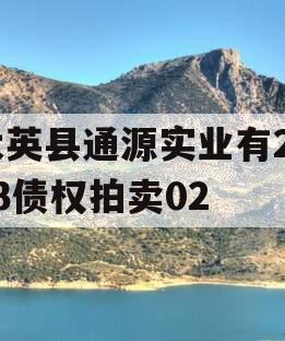 大英县通源实业有2023债权拍卖02