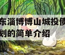 山东淄博博山城投债权计划的简单介绍