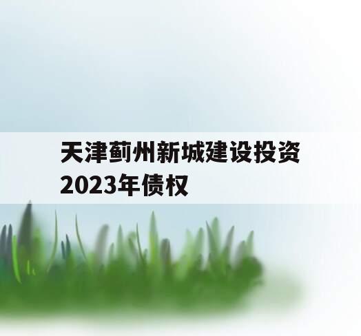 天津蓟州新城建设投资2023年债权