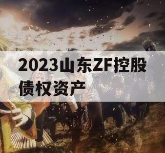 2023山东ZF控股债权资产