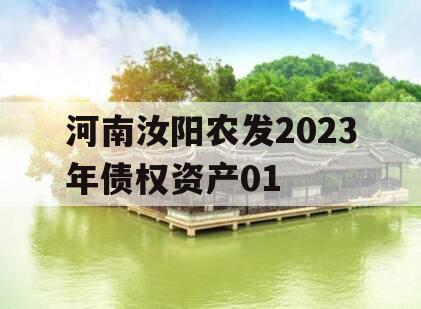 河南汝阳农发2023年债权资产01