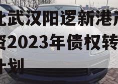 湖北武汉阳逻新港产业投资2023年债权转让计划