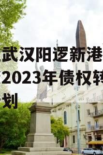 湖北武汉阳逻新港产业投资2023年债权转让计划