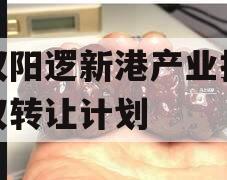 武汉阳逻新港产业投资债权转让计划