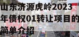 山东济源虎岭2023年债权01转让项目的简单介绍