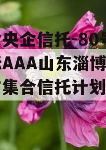 包含央企信托-80号非标AAA山东淄博地级市集合信托计划的词条