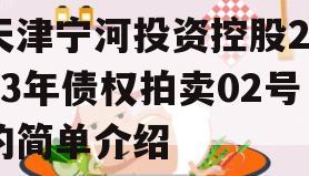 天津宁河投资控股2023年债权拍卖02号的简单介绍