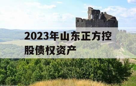 2023年山东正方控股债权资产