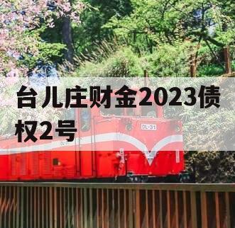 台儿庄财金2023债权2号