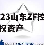 2023山东ZF控股债权资产