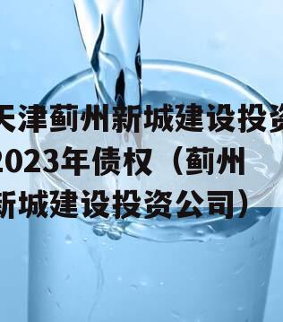 天津蓟州新城建设投资2023年债权（蓟州新城建设投资公司）