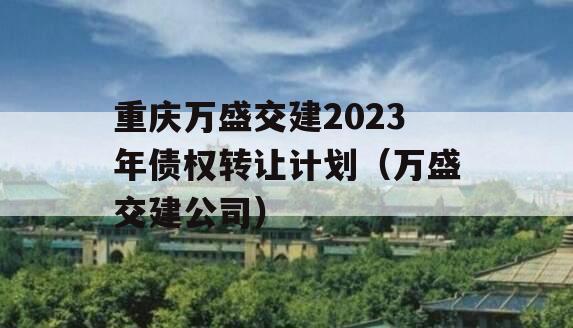 重庆万盛交建2023年债权转让计划（万盛交建公司）