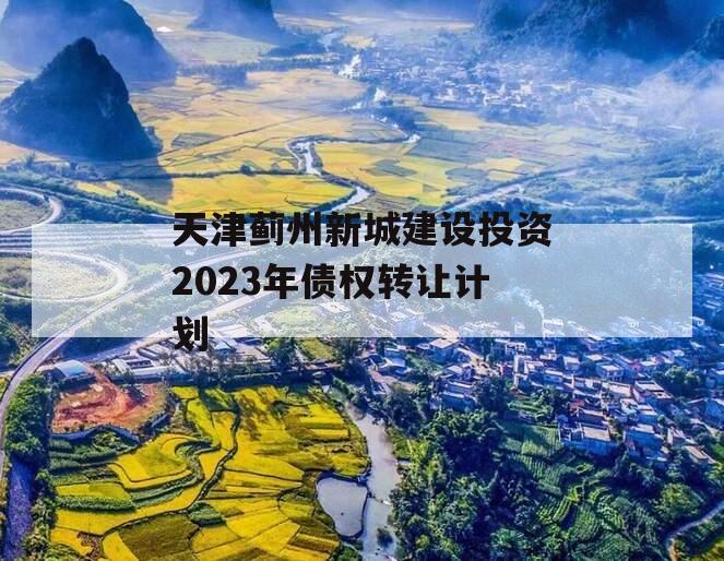 天津蓟州新城建设投资2023年债权转让计划