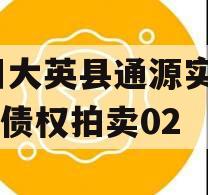 四川大英县通源实业2023债权拍卖02