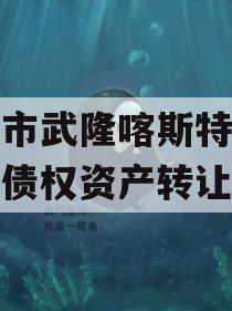 重庆市武隆喀斯特旅游产业债权资产转让项目