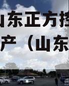 2023山东正方控股债权资产（山东方正地产）