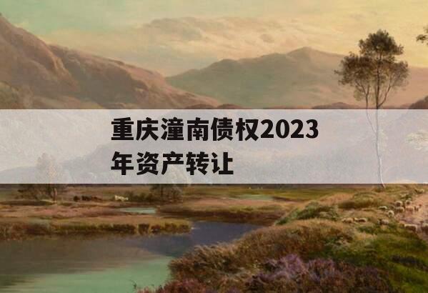 重庆潼南债权2023年资产转让