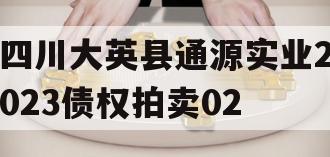 四川大英县通源实业2023债权拍卖02