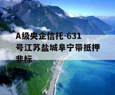 A级央企信托-631号江苏盐城阜宁带抵押非标