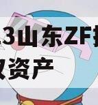 2023山东ZF控股债权资产