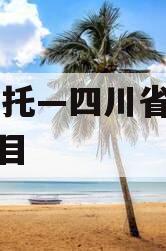 Xx信托—四川省会政信项目