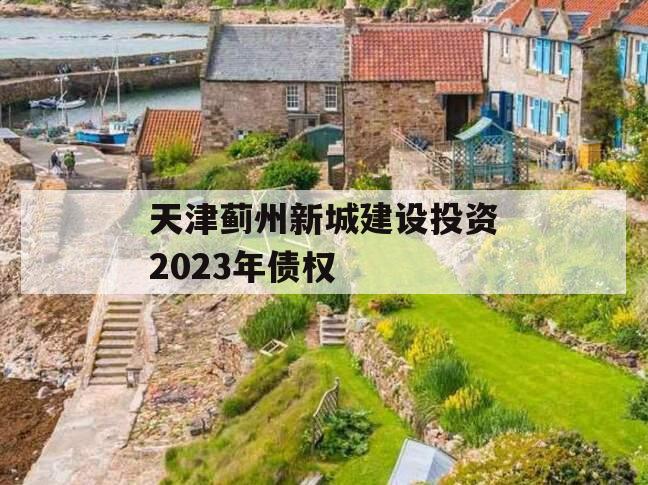 天津蓟州新城建设投资2023年债权