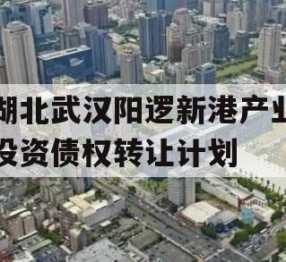 湖北武汉阳逻新港产业投资债权转让计划