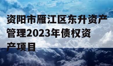 资阳市雁江区东升资产管理2023年债权资产项目