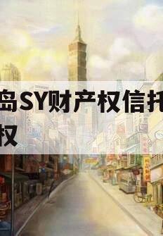 青岛SY财产权信托收益权