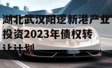 湖北武汉阳逻新港产业投资2023年债权转让计划