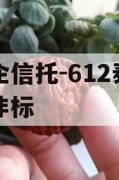 央企信托-612泰州市非标