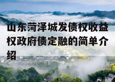 山东菏泽城发债权收益权政府债定融的简单介绍