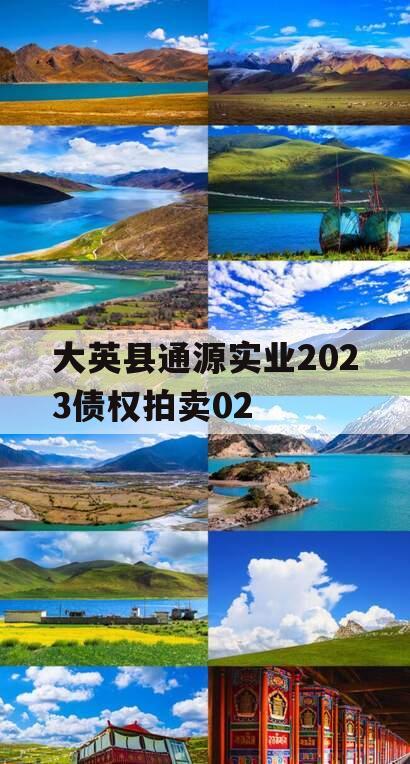 大英县通源实业2023债权拍卖02