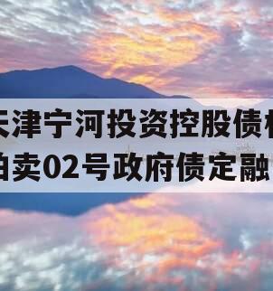 天津宁河投资控股债权拍卖02号政府债定融