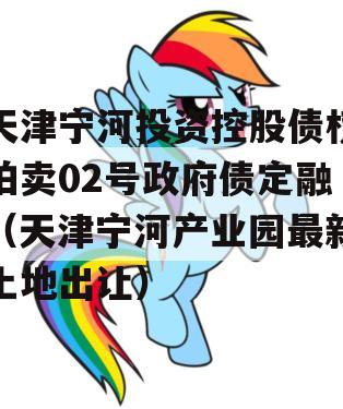 天津宁河投资控股债权拍卖02号政府债定融（天津宁河产业园最新土地出让）