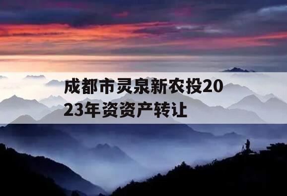 成都市灵泉新农投2023年资资产转让