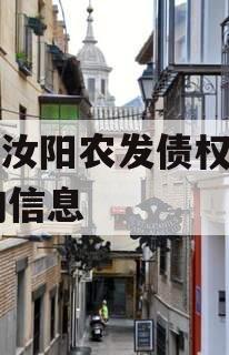 关于汝阳农发债权资产01的信息