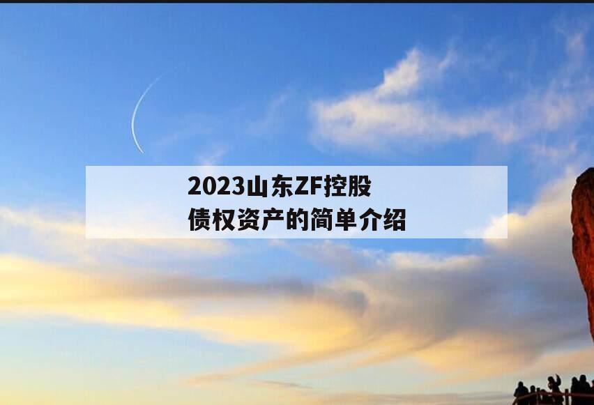 2023山东ZF控股债权资产的简单介绍